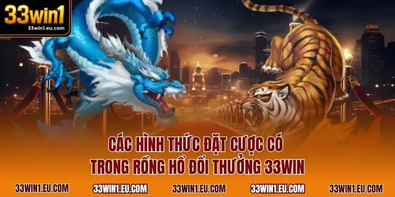 Các hình thức đặt cược có trong Rồng Hổ đổi thưởng 33WIN