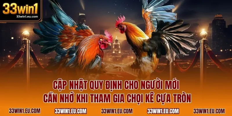 Cập nhật quy định cho người mới cần nhớ khi tham gia chọi kê cựa tròn
