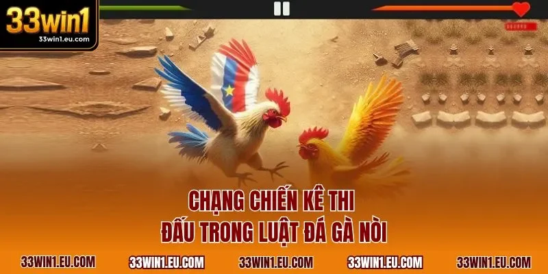 Chạng chiến kê thi đấu trong luật đá gà nòi