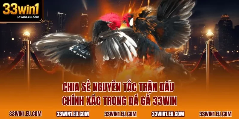 Chia sẻ nguyên tắc trận đấu chính xác trong đá gà 33WIN