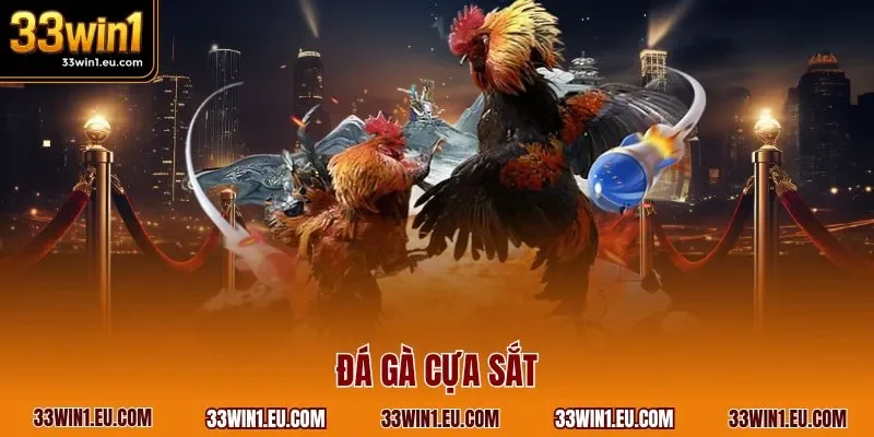 Đá gà cựa sắt