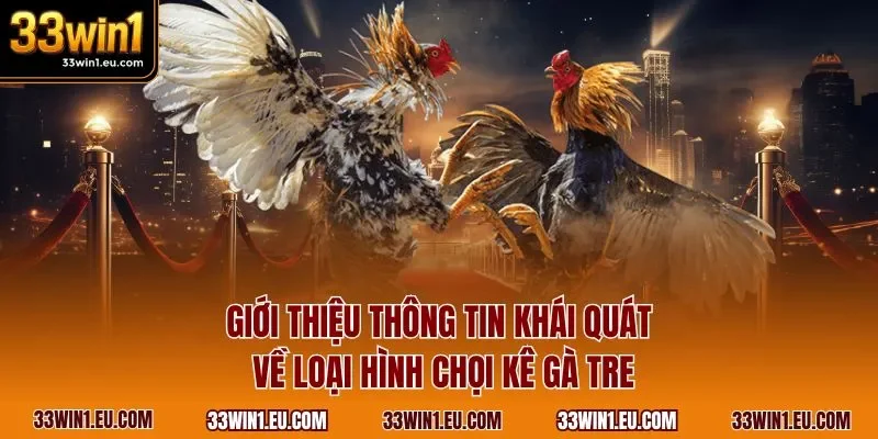 Giới thiệu thông tin khái quát về loại hình chọi kê gà tre