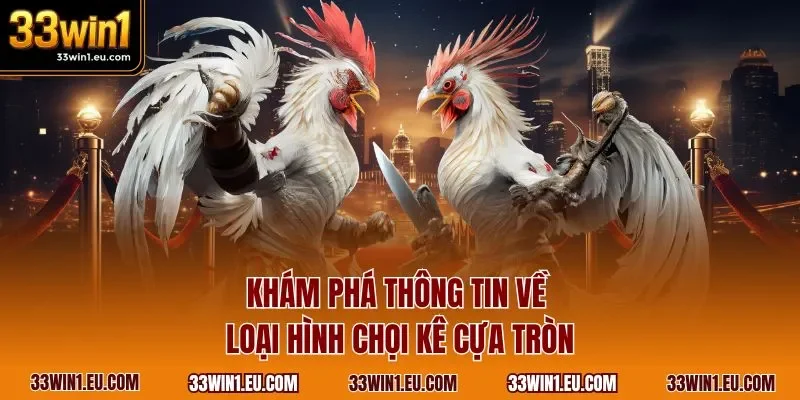 Khám phá thông tin về loại hình chọi kê cựa tròn
