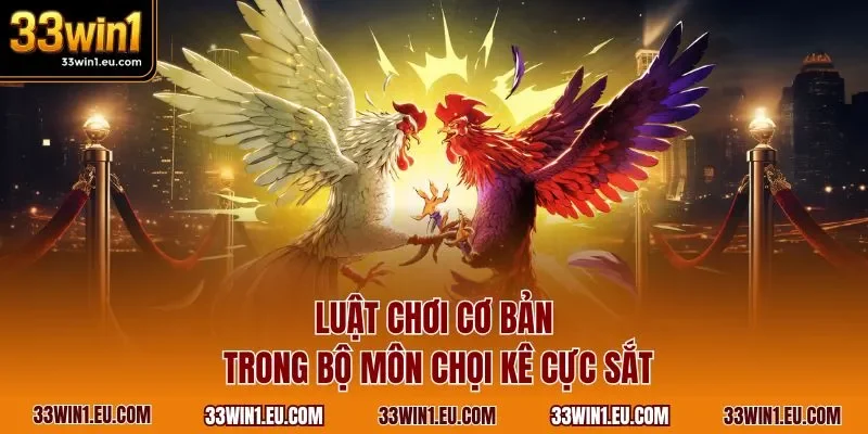Luật chơi cơ bản trong bộ môn chọi kê cực sắt