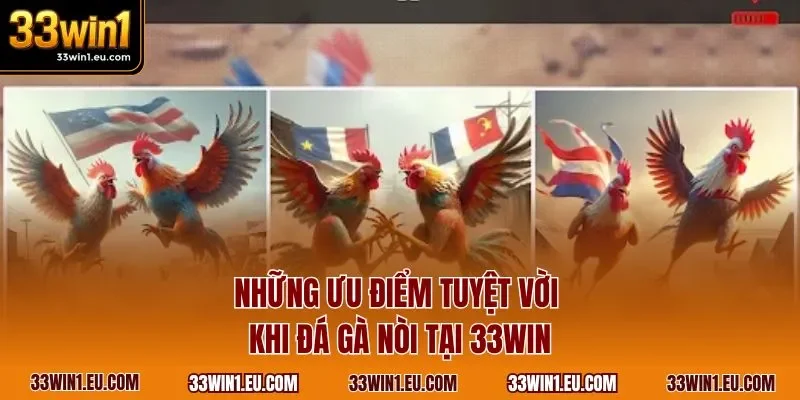 Những ưu điểm tuyệt vời khi đá gà nòi tại 33WIN 