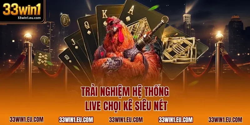 Trải nghiệm hệ thống live chọi kê siêu nét